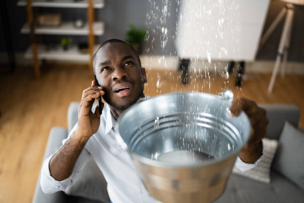 Best Local water damage restoration  in Tanglewilde, WA