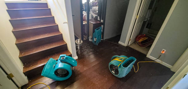 Best Water damage restoration process  in Tanglewilde, WA
