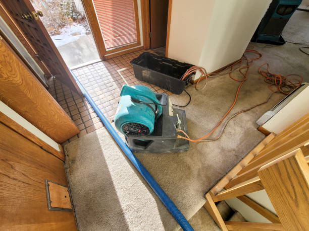 Best Water damage restoration insurance claims  in Tanglewilde, WA