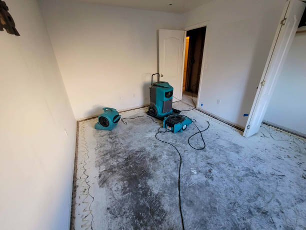 Best Flooded house restoration  in Tanglewilde, WA
