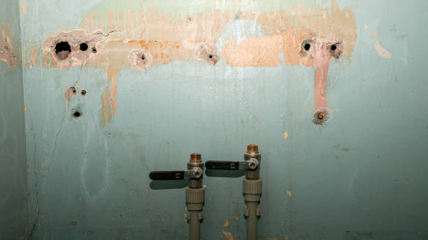 Best 24-hour water damage restoration  in Tanglewilde, WA