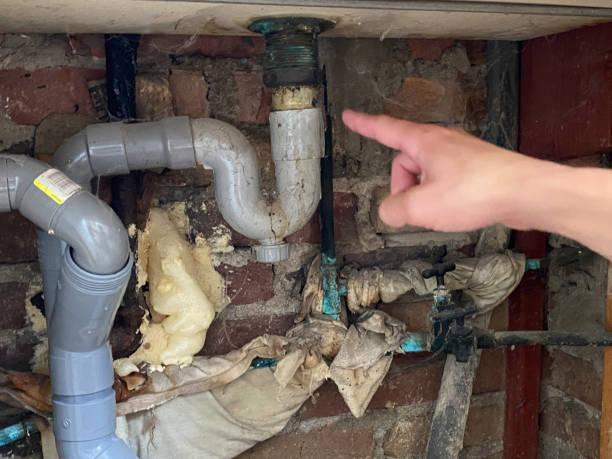 Best Water damage contractors near me  in Tanglewilde, WA
