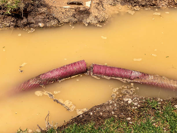 Best Water damage restoration mold remediation  in Tanglewilde, WA