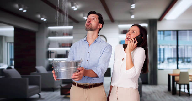 Best Sewage cleanup and water damage restoration  in Tanglewilde, WA