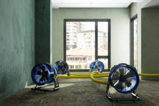 Best Residential water damage restoration  in Tanglewilde, WA