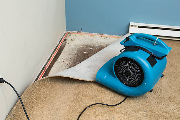 Best Emergency water damage restoration  in Tanglewilde, WA